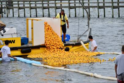 TCCH duck release_2500px